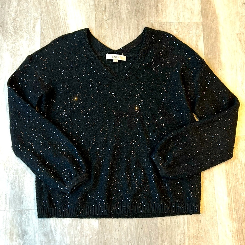 LOFT Sparkle Sweater